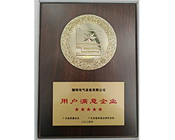 SUNTEN Awarded 2024 Guangdong 5-Star Customer Satisfaction Certificate